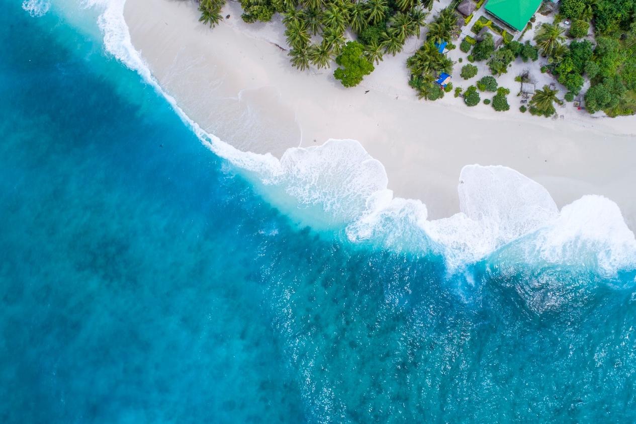 Ocean Conservation